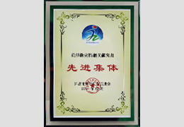 抗洪救灾捐赠贡献突出 先进集体