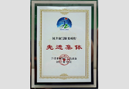 抗击新冠肺炎疫情 先进集体